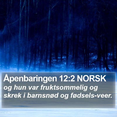 Åpenbaringen 12:2 NORSK Bible Verse Image