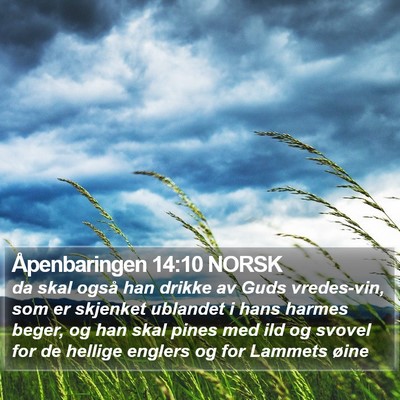 Åpenbaringen 14:10 NORSK Bible Verse Image