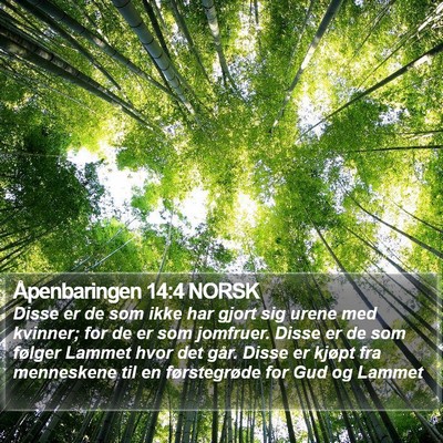 Åpenbaringen 14:4 NORSK Bible Verse Image