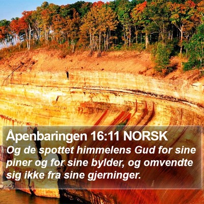 Åpenbaringen 16:11 NORSK Bible Verse Image