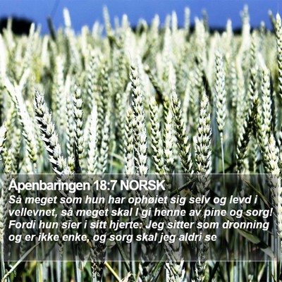 Åpenbaringen 18:7 NORSK Bible Verse Image