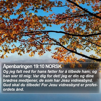 Åpenbaringen 19:10 NORSK Bible Verse Image