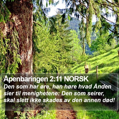 Åpenbaringen 2:11 NORSK Bible Verse Image