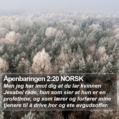 Åpenbaringen 2:20 NORSK Bible Verse Image