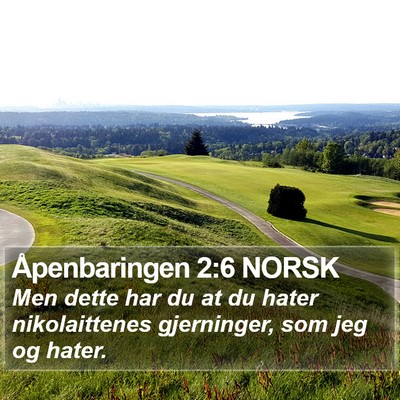 Åpenbaringen 2:6 NORSK Bible Verse Image