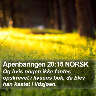 Åpenbaringen 20:15 NORSK Bible Verse Image