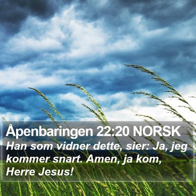 Åpenbaringen 22:20 NORSK Bible Verse Image