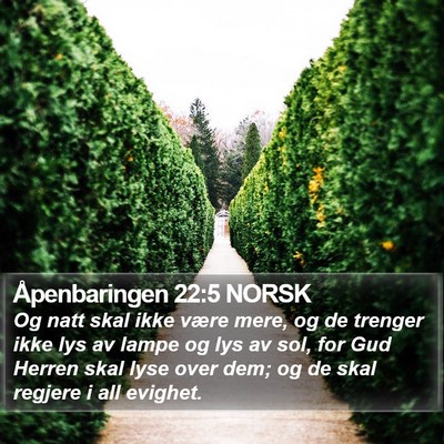 Åpenbaringen 22:5 NORSK Bible Verse Image