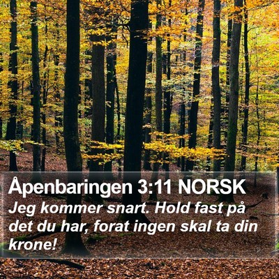 Åpenbaringen 3:11 NORSK Bible Verse Image