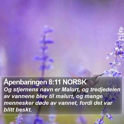 Åpenbaringen 8:11 NORSK Bible Verse Image