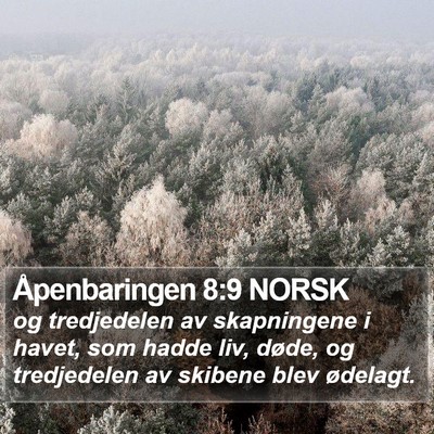Åpenbaringen 8:9 NORSK Bible Verse Image