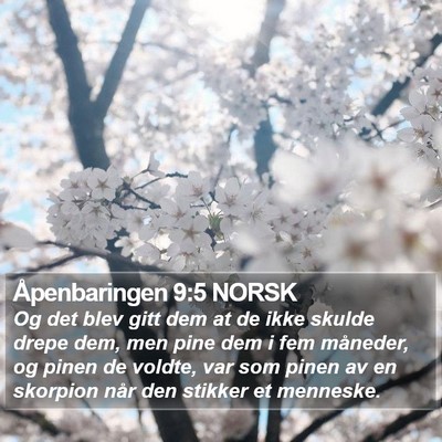 Åpenbaringen 9:5 NORSK Bible Verse Image
