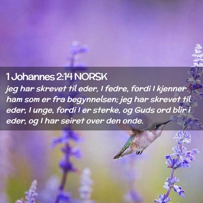 Picture 02 - 1 Johannes 2:14 NORSK - jeg har skrevet til eder, I fedre, fordi I - Bible Verse Picture