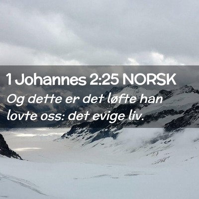 Picture 02 - 1 Johannes 2:25 NORSK - Og dette er det løfte han lovte oss: det evige - Bible Verse Picture