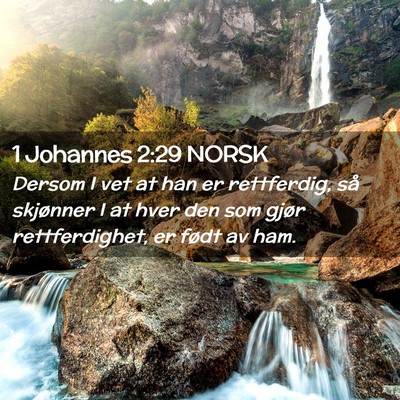Picture 02 - 1 Johannes 2:29 NORSK - Dersom I vet at han er rettferdig, så skjønner - Bible Verse Picture