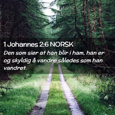 Picture 02 - 1 Johannes 2:6 NORSK - Den som sier at han blir i ham, han er og skyldig - Bible Verse Picture