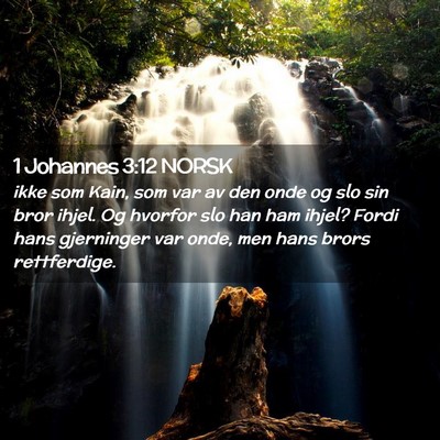 Picture 02 - 1 Johannes 3:12 NORSK - ikke som Kain, som var av den onde og slo sin - Bible Verse Picture