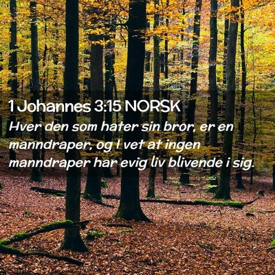 Picture 02 - 1 Johannes 3:15 NORSK - Hver den som hater sin bror, er en manndraper, og - Bible Verse Picture