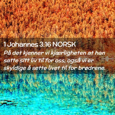Picture 02 - 1 Johannes 3:16 NORSK - På det kjenner vi kjærligheten at han satte - Bible Verse Picture