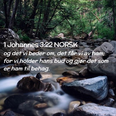 Picture 02 - 1 Johannes 3:22 NORSK - og det vi beder om, det får vi av ham; for vi - Bible Verse Picture