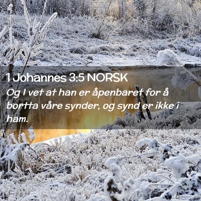 Picture 02 - 1 Johannes 3:5 NORSK - Og I vet at han er åpenbaret for å bortta våre - Bible Verse Picture