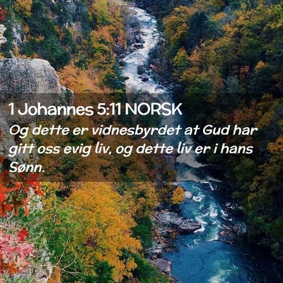 Picture 02 - 1 Johannes 5:11 NORSK - Og dette er vidnesbyrdet at Gud har gitt oss evig - Bible Verse Picture