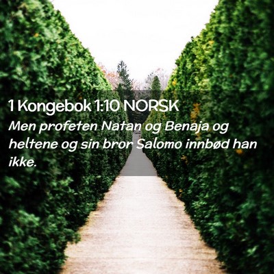 Picture 02 - 1 Kongebok 1:10 NORSK - Men profeten Natan og Benaja og heltene og sin - Bible Verse Picture