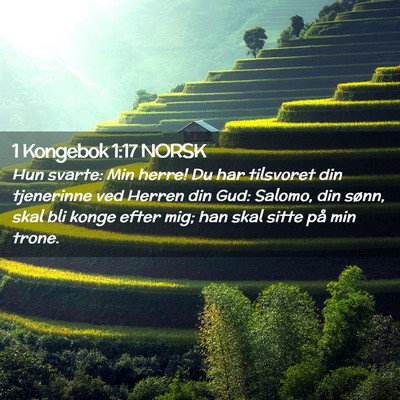 Picture 02 - 1 Kongebok 1:17 NORSK - Hun svarte: Min herre! Du har tilsvoret din - Bible Verse Picture