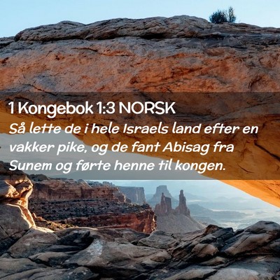 Picture 02 - 1 Kongebok 1:3 NORSK - Så lette de i hele Israels land efter en vakker - Bible Verse Picture