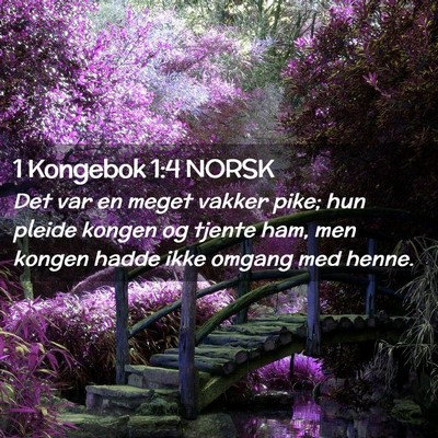 Picture 02 - 1 Kongebok 1:4 NORSK - Det var en meget vakker pike; hun pleide kongen - Bible Verse Picture