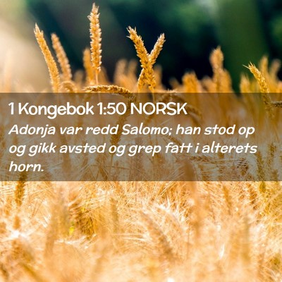 Picture 02 - 1 Kongebok 1:50 NORSK - Adonja var redd Salomo; han stod op og gikk - Bible Verse Picture