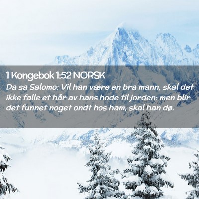 Picture 02 - 1 Kongebok 1:52 NORSK - Da sa Salomo: Vil han være en bra mann, skal det - Bible Verse Picture