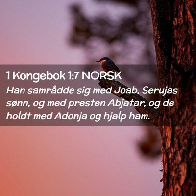 Picture 02 - 1 Kongebok 1:7 NORSK - Han samrådde sig med Joab, Serujas sønn, og med - Bible Verse Picture
