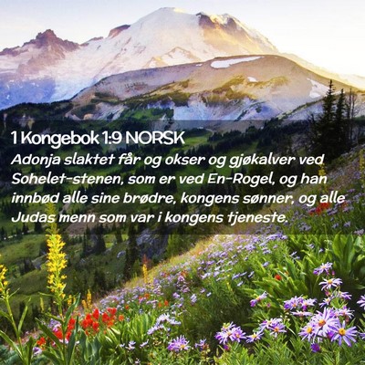Picture 02 - 1 Kongebok 1:9 NORSK - Adonja slaktet får og okser og gjøkalver ved - Bible Verse Picture