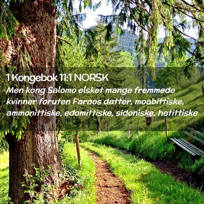 Picture 02 - 1 Kongebok 11:1 NORSK - Men kong Salomo elsket mange fremmede kvinner - Bible Verse Picture