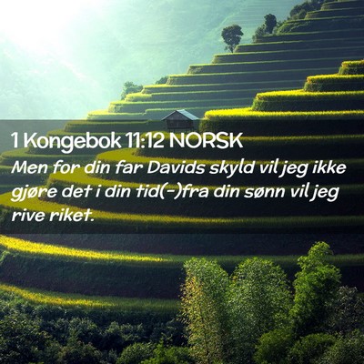 Picture 02 - 1 Kongebok 11:12 NORSK - Men for din far Davids skyld vil jeg ikke gjøre - Bible Verse Picture