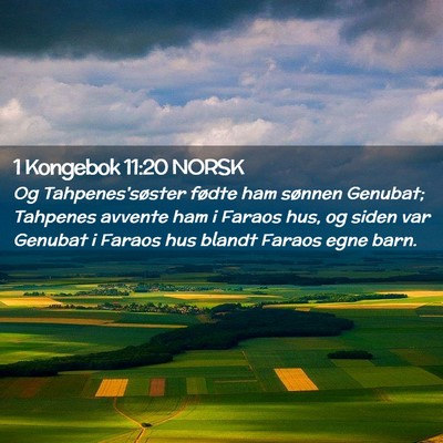 Picture 02 - 1 Kongebok 11:20 NORSK - Og Tahpenes'søster fødte ham sønnen Genubat; - Bible Verse Picture