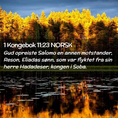 Picture 02 - 1 Kongebok 11:23 NORSK - Gud opreiste Salomo en annen motstander, Reson, - Bible Verse Picture