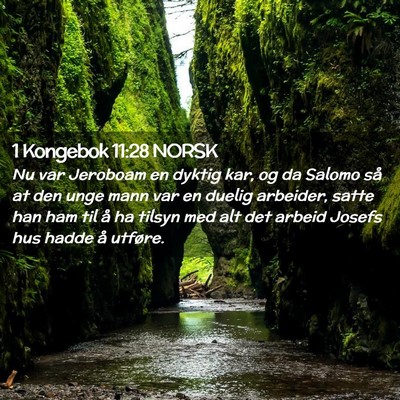 Picture 02 - 1 Kongebok 11:28 NORSK - Nu var Jeroboam en dyktig kar, og da Salomo så - Bible Verse Picture