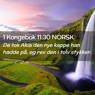 Picture 02 - 1 Kongebok 11:30 NORSK - Da tok Akia den nye kappe han hadde på, og rev - Bible Verse Picture