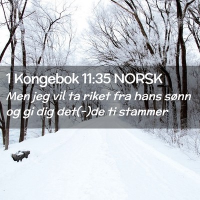Picture 02 - 1 Kongebok 11:35 NORSK - Men jeg vil ta riket fra hans sønn og gi dig - Bible Verse Picture