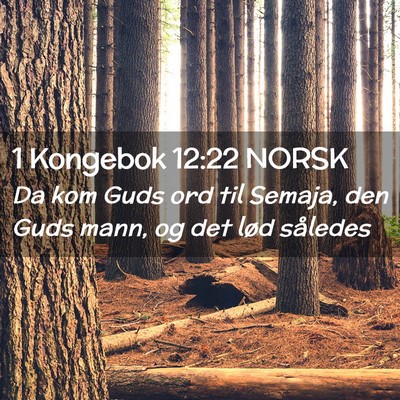 Picture 02 - 1 Kongebok 12:22 NORSK - Da kom Guds ord til Semaja, den Guds mann, og det - Bible Verse Picture