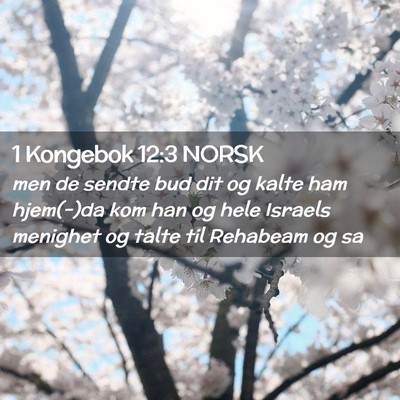 Picture 02 - 1 Kongebok 12:3 NORSK - men de sendte bud dit og kalte ham hjem(-)da kom - Bible Verse Picture