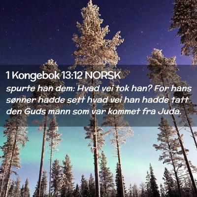 Picture 02 - 1 Kongebok 13:12 NORSK - spurte han dem: Hvad vei tok han? For hans - Bible Verse Picture