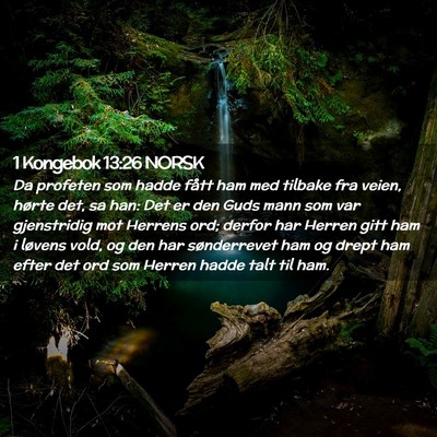 Picture 02 - 1 Kongebok 13:26 NORSK - Da profeten som hadde fått ham med tilbake fra - Bible Verse Picture