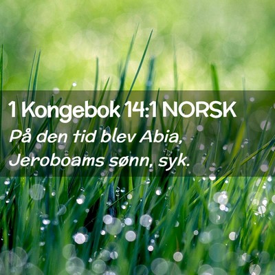 Picture 02 - 1 Kongebok 14:1 NORSK - På den tid blev Abia, Jeroboams sønn, - Bible Verse Picture