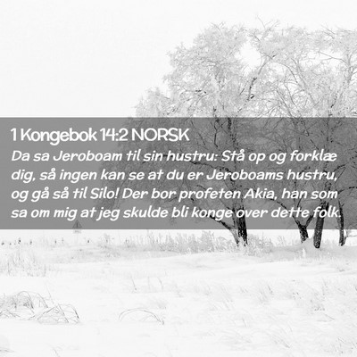 Picture 02 - 1 Kongebok 14:2 NORSK - Da sa Jeroboam til sin hustru: Stå op og forklæ - Bible Verse Picture
