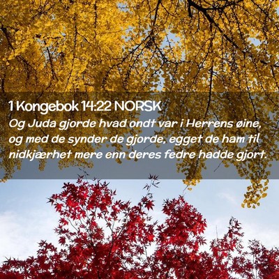 Picture 02 - 1 Kongebok 14:22 NORSK - Og Juda gjorde hvad ondt var i Herrens øine, og - Bible Verse Picture