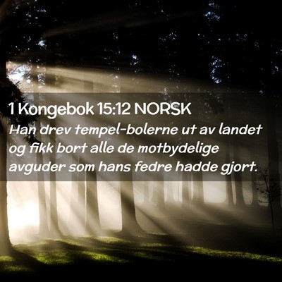 Picture 02 - 1 Kongebok 15:12 NORSK - Han drev tempel-bolerne ut av landet og fikk bort - Bible Verse Picture