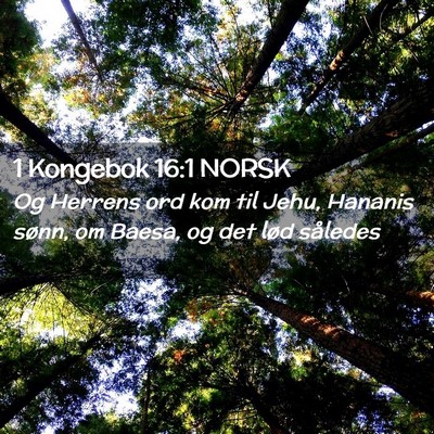 Picture 02 - 1 Kongebok 16:1 NORSK - Og Herrens ord kom til Jehu, Hananis sønn, om - Bible Verse Picture